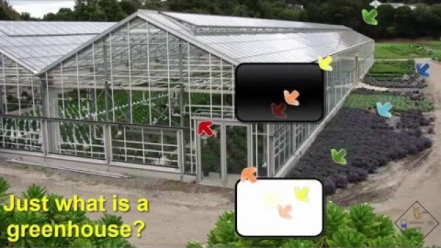 placements of greeenhouse